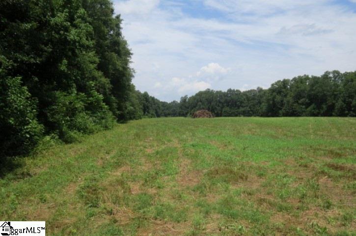 9331 Anderson Road Easley, SC 29642 - Photo 4 of 23
