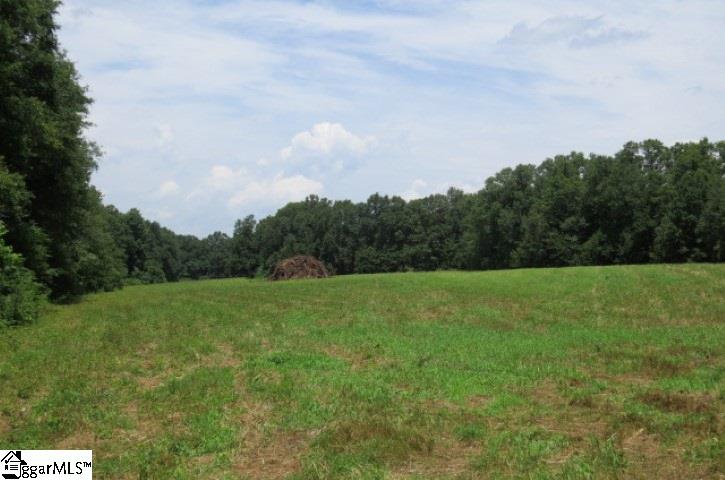 9331 Anderson Road Easley, SC 29642 - Photo 5 of 23