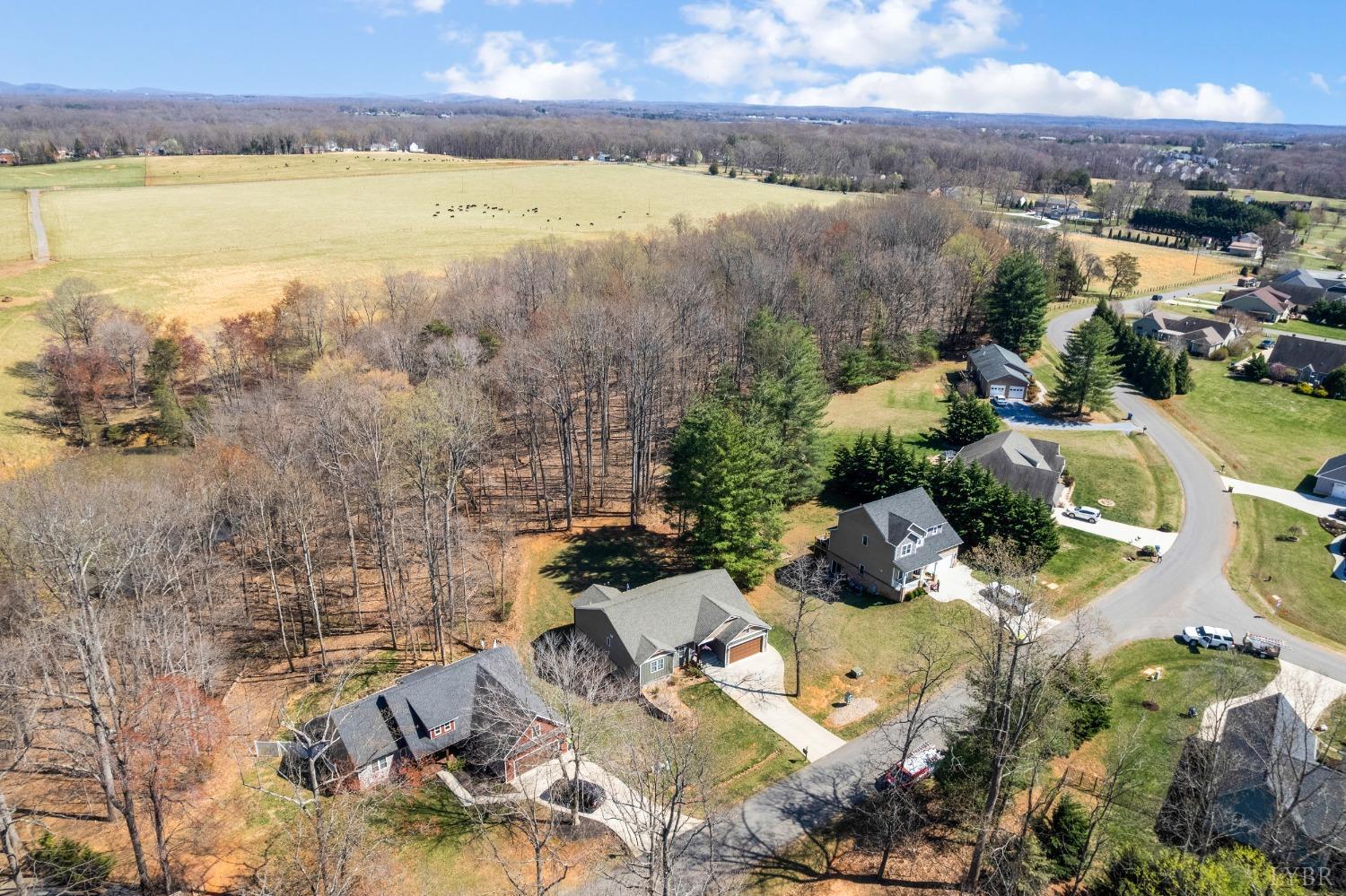 1257 Willow Oak Drive Forest, VA 24551 - Photo 11 of 66