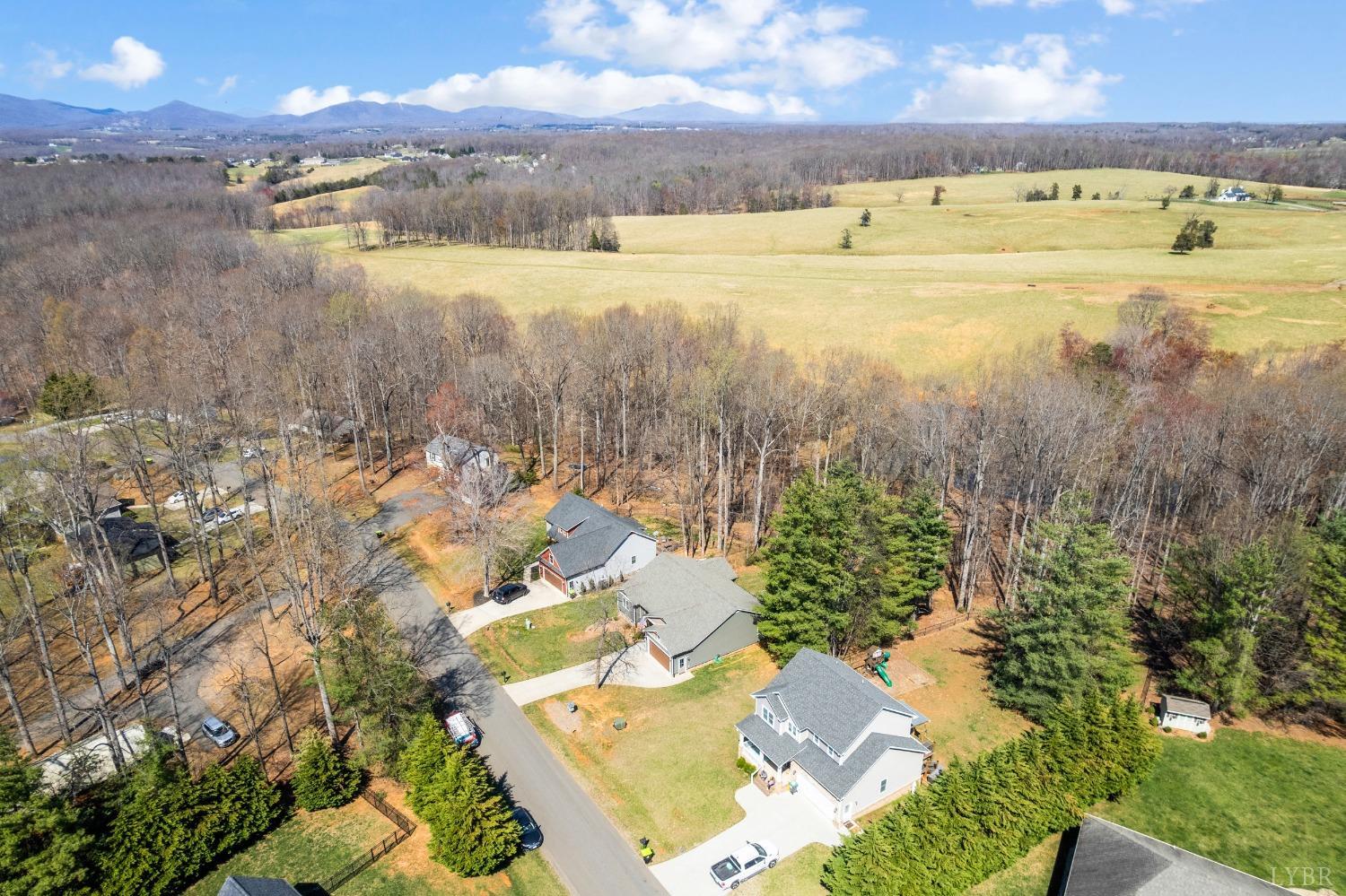 1257 Willow Oak Drive Forest, VA 24551 - Photo 7 of 66