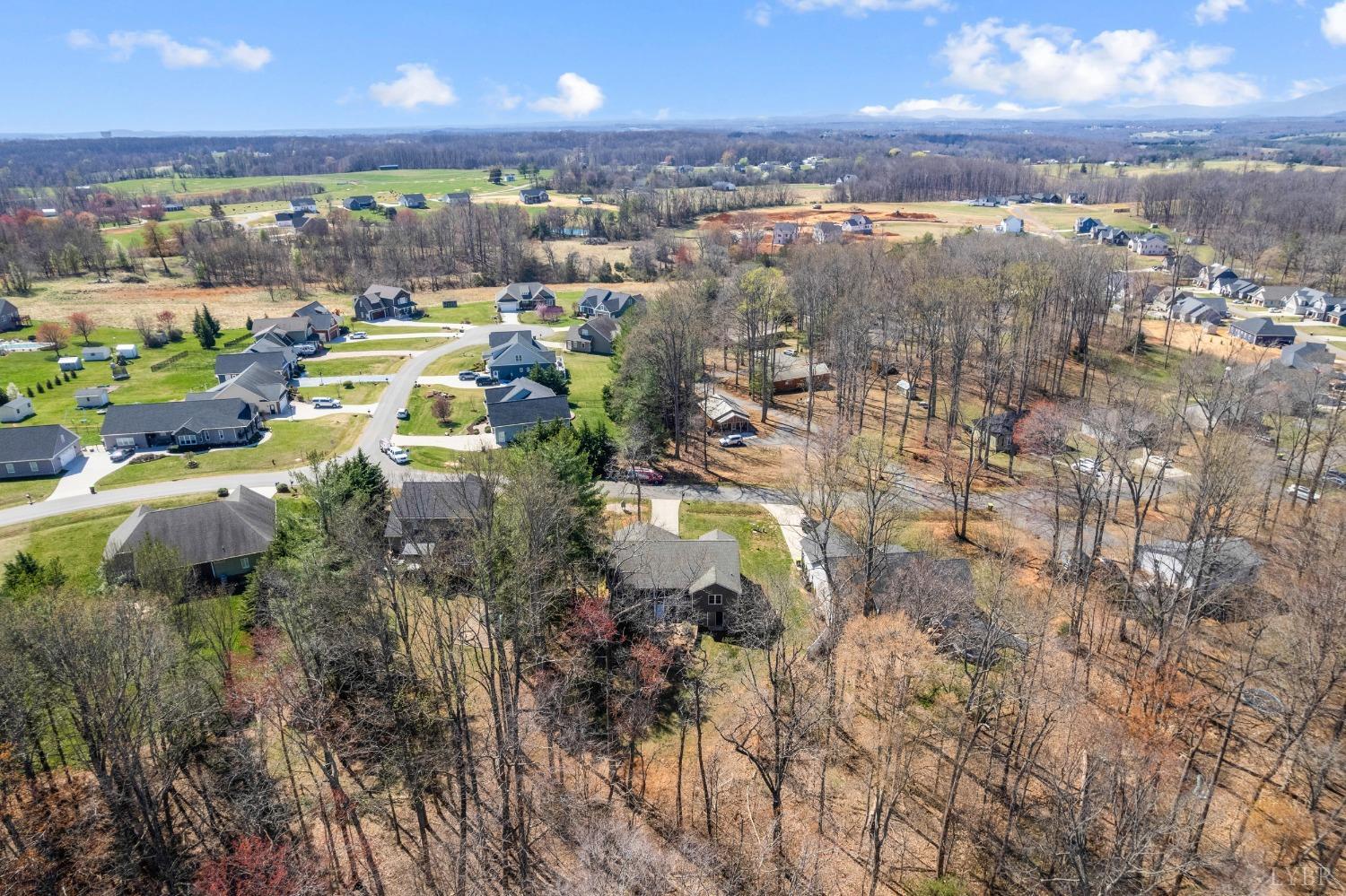 1257 Willow Oak Drive Forest, VA 24551 - Photo 8 of 66