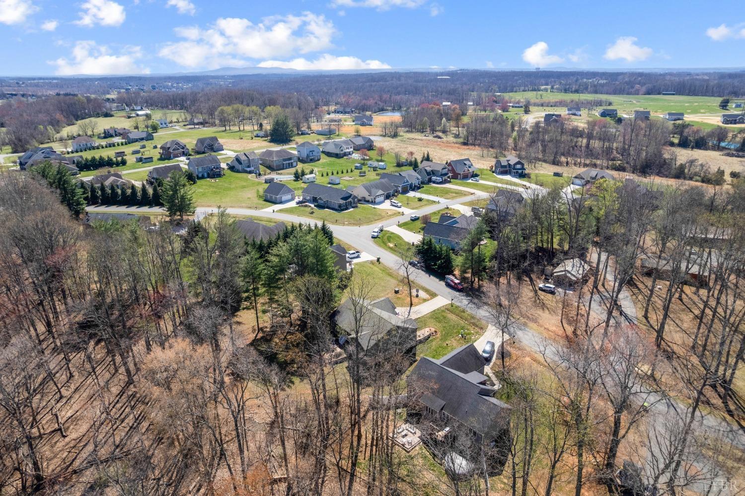 1257 Willow Oak Drive Forest, VA 24551 - Photo 9 of 66