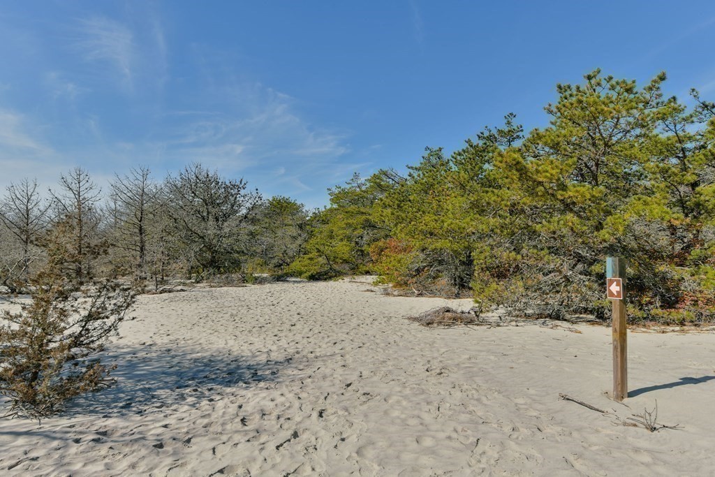 96 Tilipi Run Chatham, MA 02633 - Photo 32 of 40