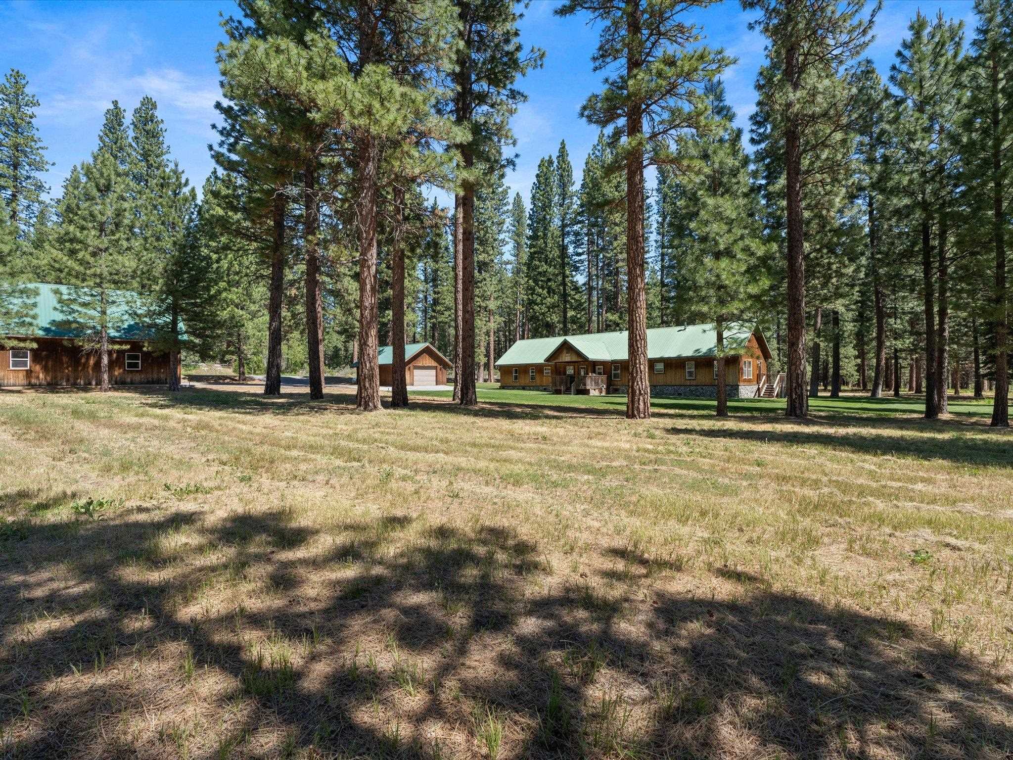 97 Main Street Calpine, CA 96124 - Photo 7 of 43 a view of outdoor space with trees