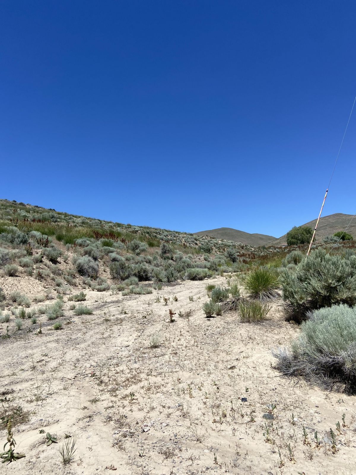 Primeaux Canyon Road Crescent Valley, NV 89821 - Photo 3 of 5