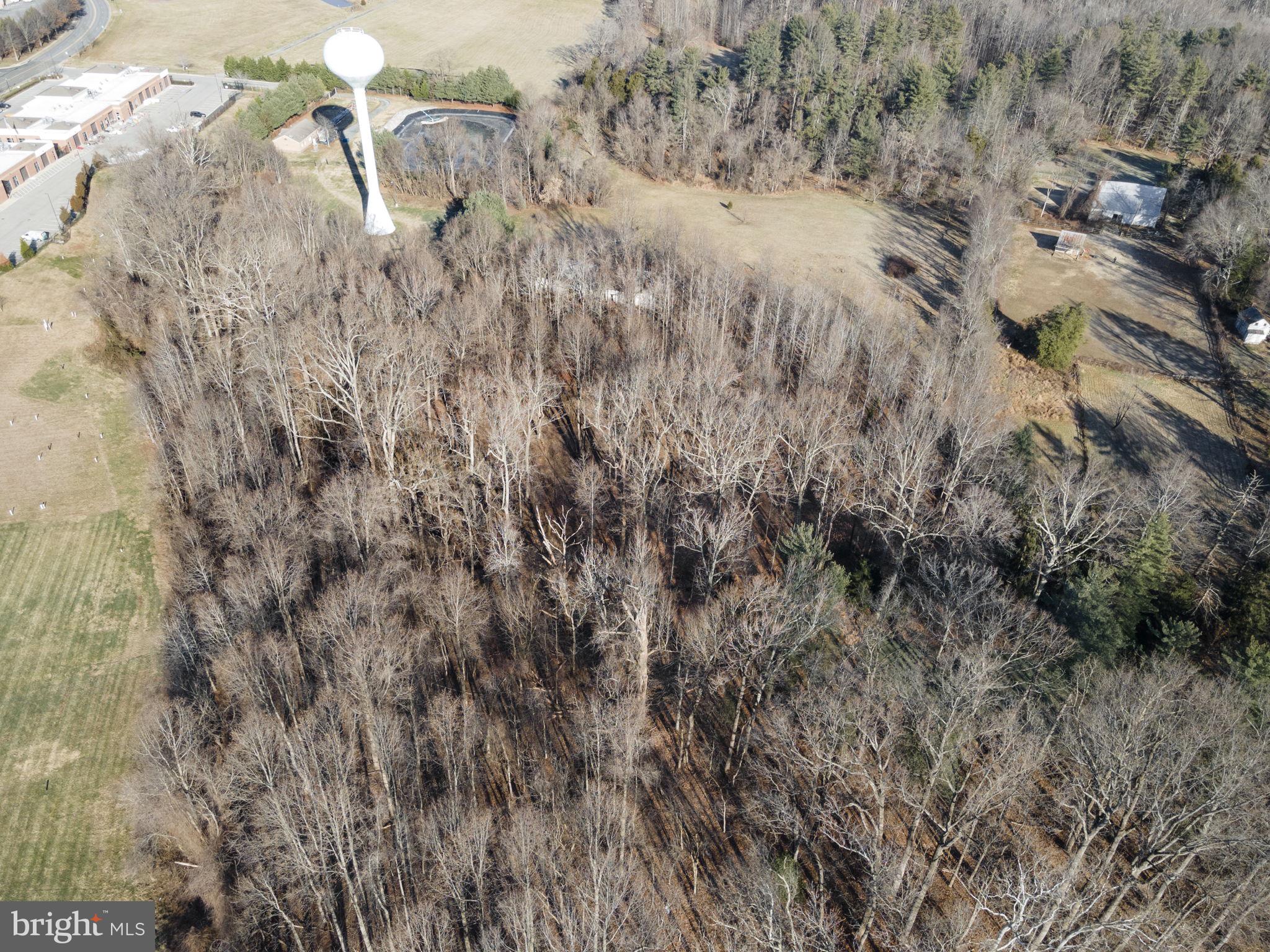 10350 Ward Road Dunkirk, MD 20754 - Photo 17 of 32