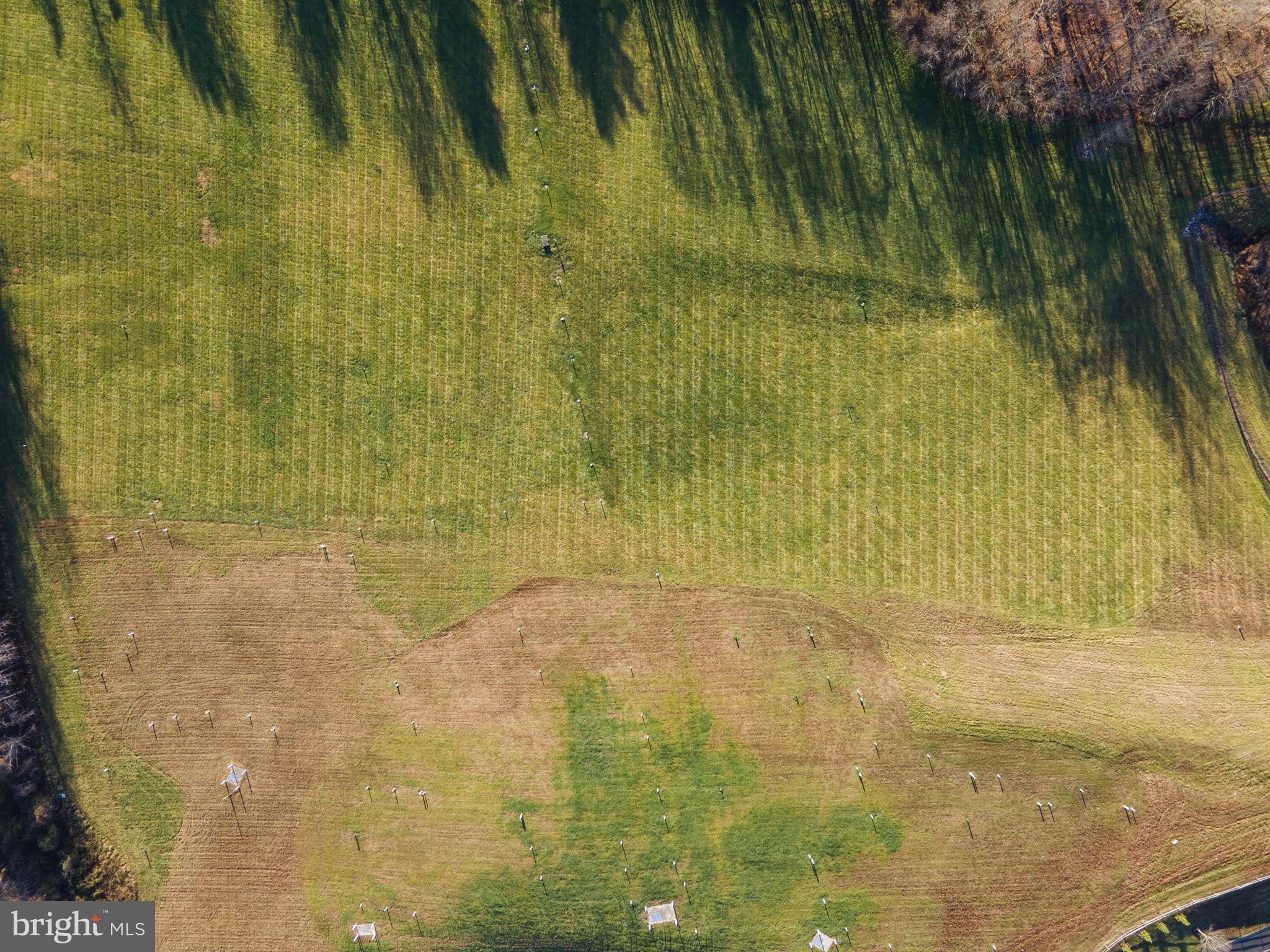 10350 Ward Road Dunkirk, MD 20754 - Photo 10 of 32