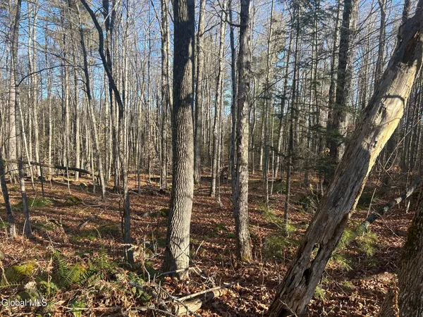 $79,900 | 3171 Highway 8, Johnsburg, NY 12853