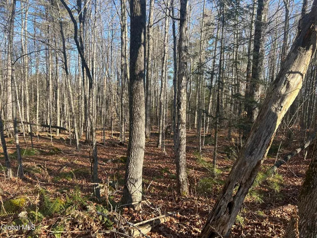 $79,900 | 3171 Highway 8, Johnsburg, NY 12853