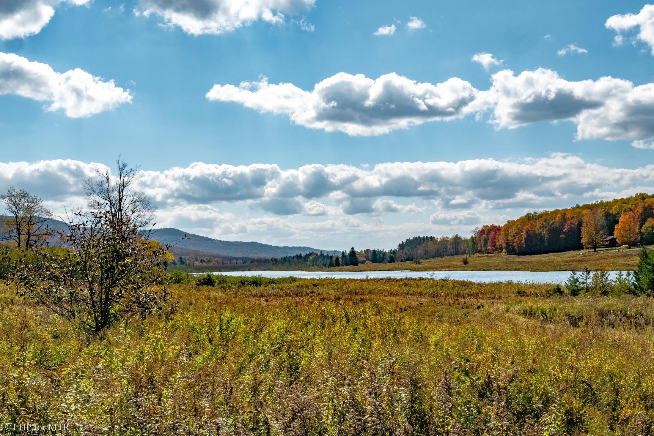 1623 Sand Run Road Davis, WV 26260 - Photo 41 of 47 Gallery Image 41