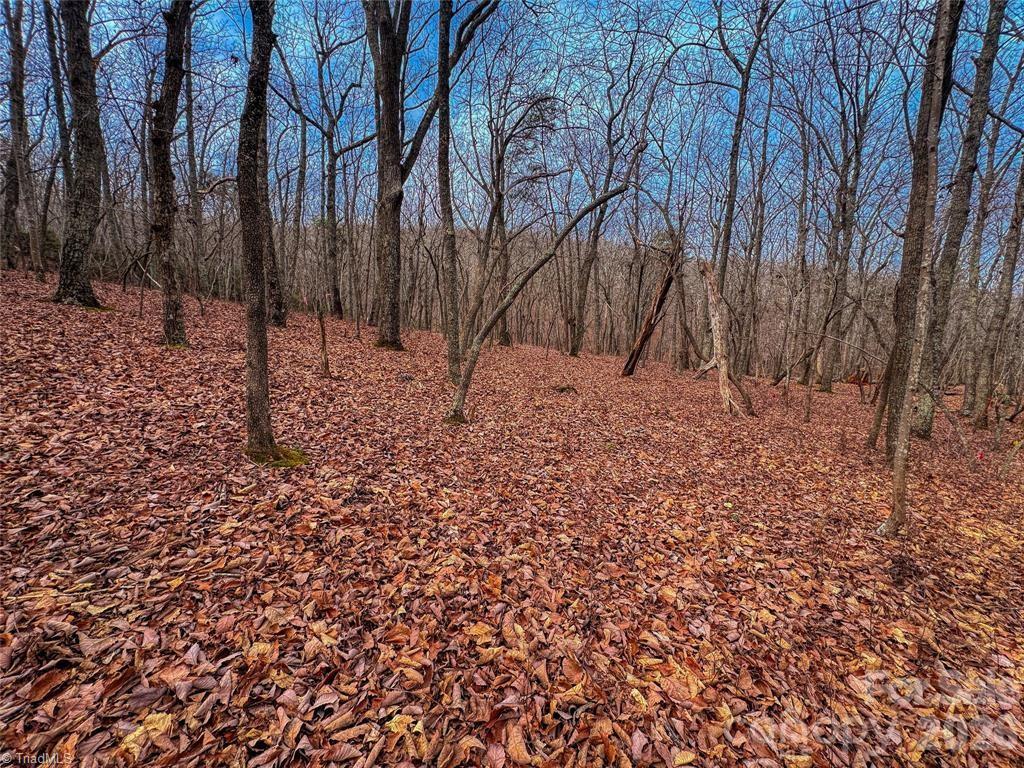 750 Palisade Trail Denton, NC 27239 - Photo 12 of 39