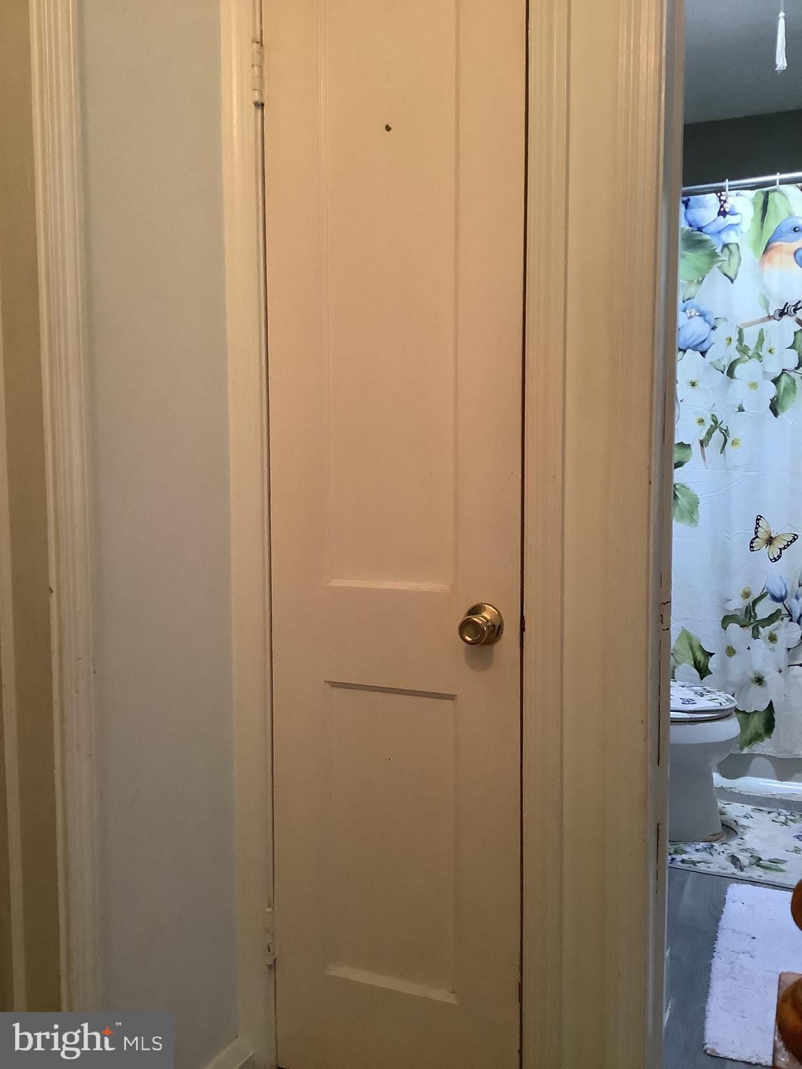 3505 Dunhaven Road Dundalk, MD 21222 - Photo 16 of 41 Linen Closet