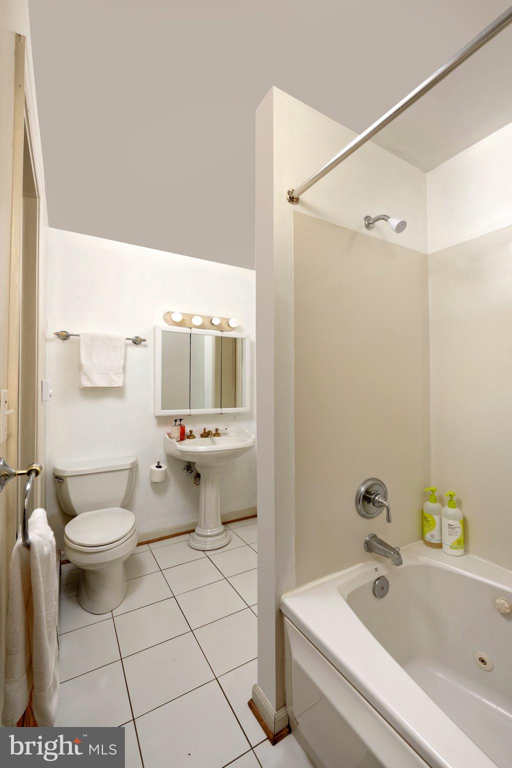 1608 Zulla Road Middleburg, VA 20117 - Photo 20 of 52 a bathroom with a sink a toilet and shower