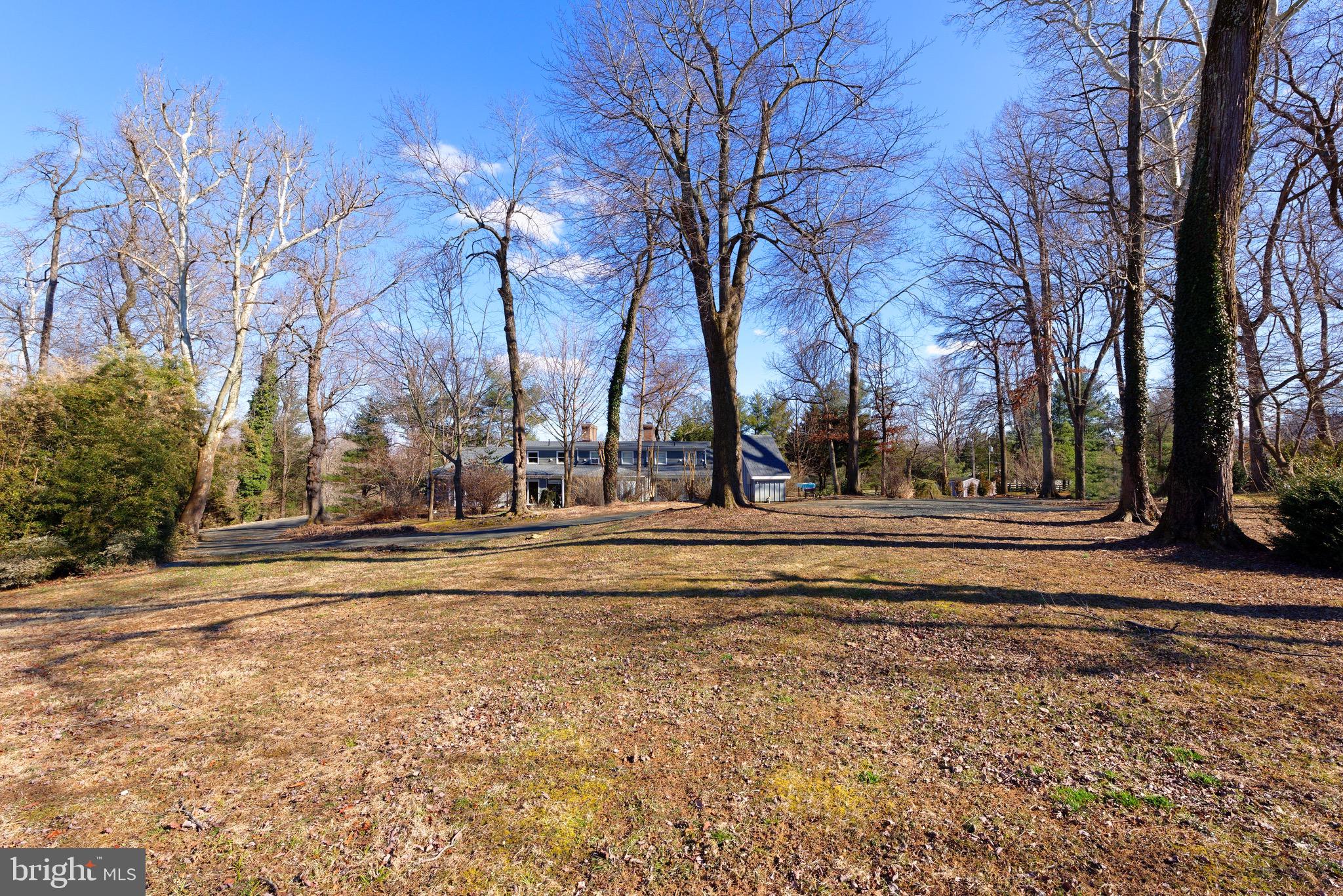 1608 Zulla Road Middleburg, VA 20117 - Photo 35 of 52 a view of road with trees