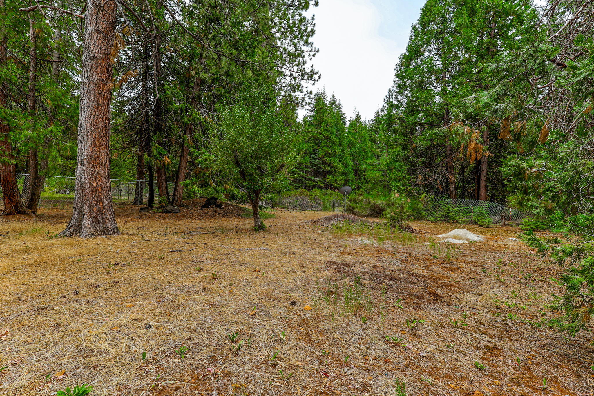 8322 Starlite Pines Road Shingletown, CA 96088 - Photo 30 of 32 Exterior
