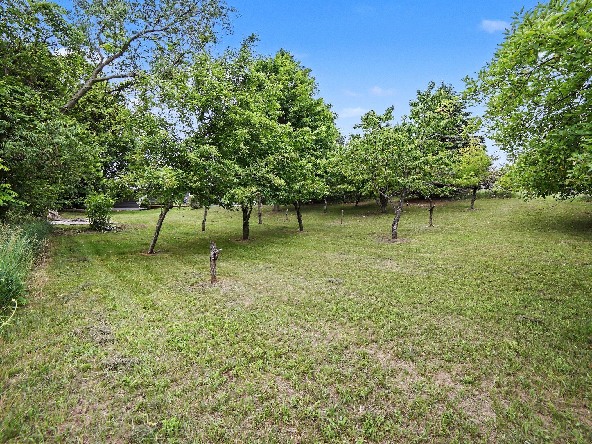 2209 East Madison Road Hart, MI 49420 - Photo 24 of 31 024_file_2417