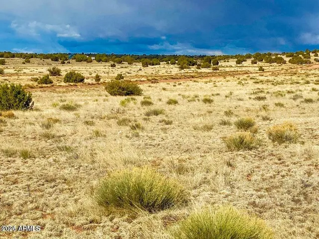 a view of a backyard of a house