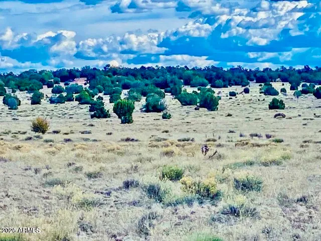 a view of a backyard of the ocean