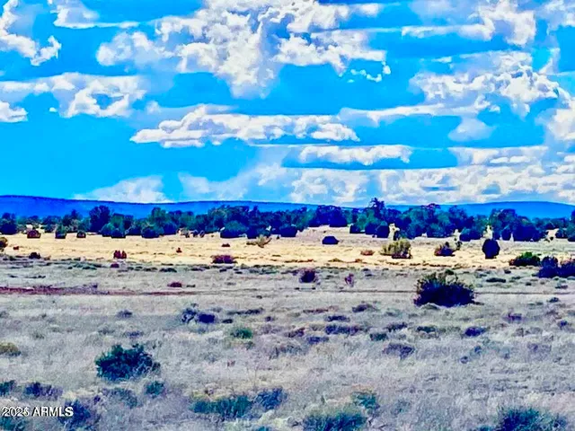 $14,999 | 10 Acres Seligman Az 86337, Seligman, AZ 86337