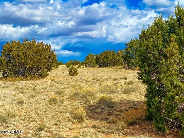 a view of a yard with a house in the background