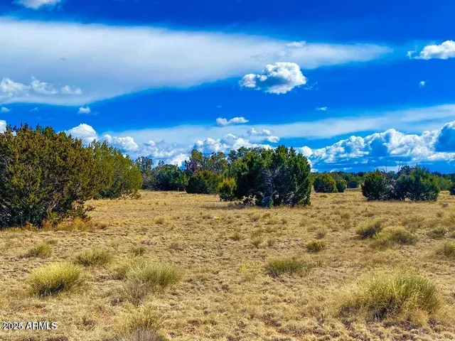 a view of beach with an ocean