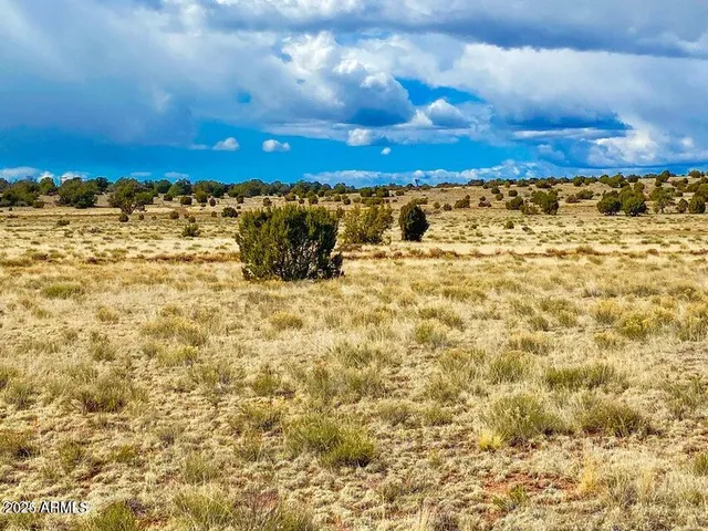 a view of a yard with an outdoor space