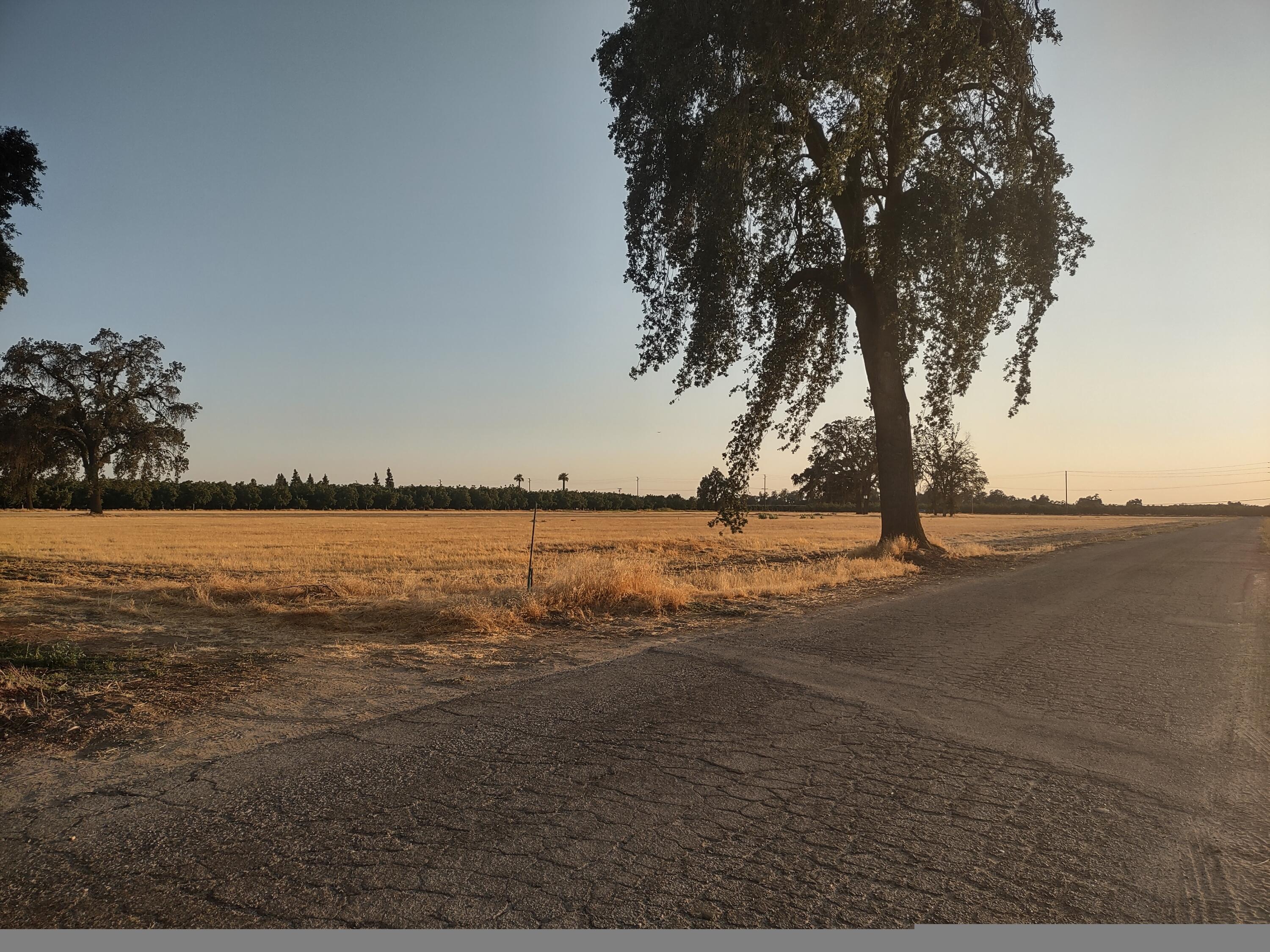 Lovers Lane Visalia, CA 93292 - Photo 7 of 10 1000001739