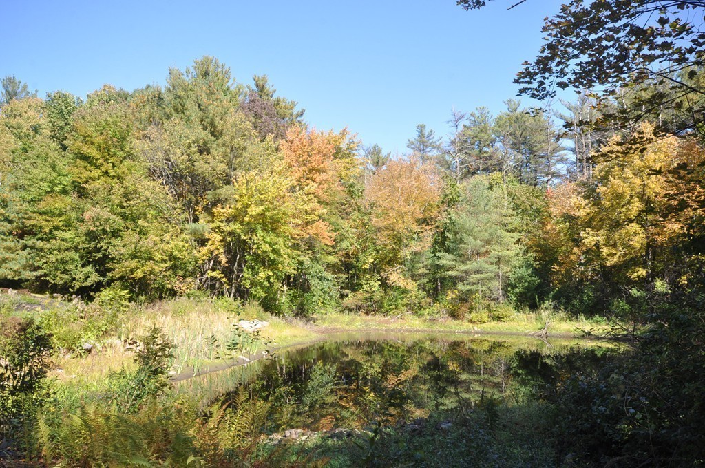 5 Partridge Pond Road Acton, MA 01720 - Photo 26 of 26 a view of a yard with plants and large trees