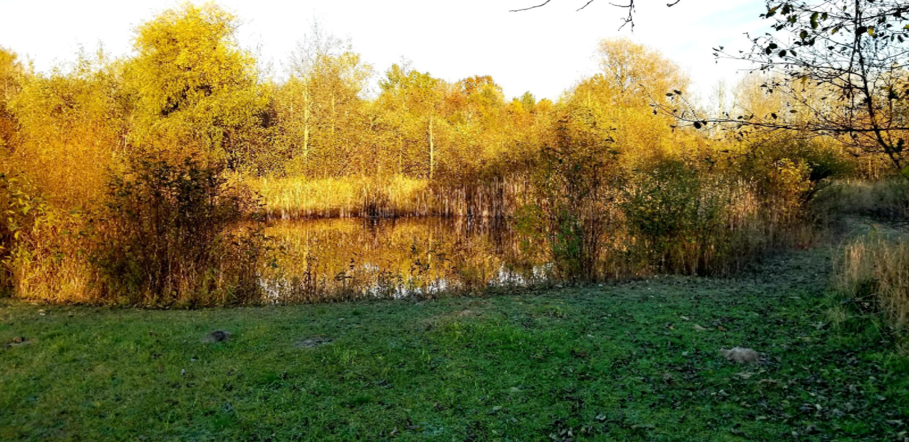 2705 East Townline Road Free Soil, MI 49411 - Photo 3 of 23 20171107_112515
