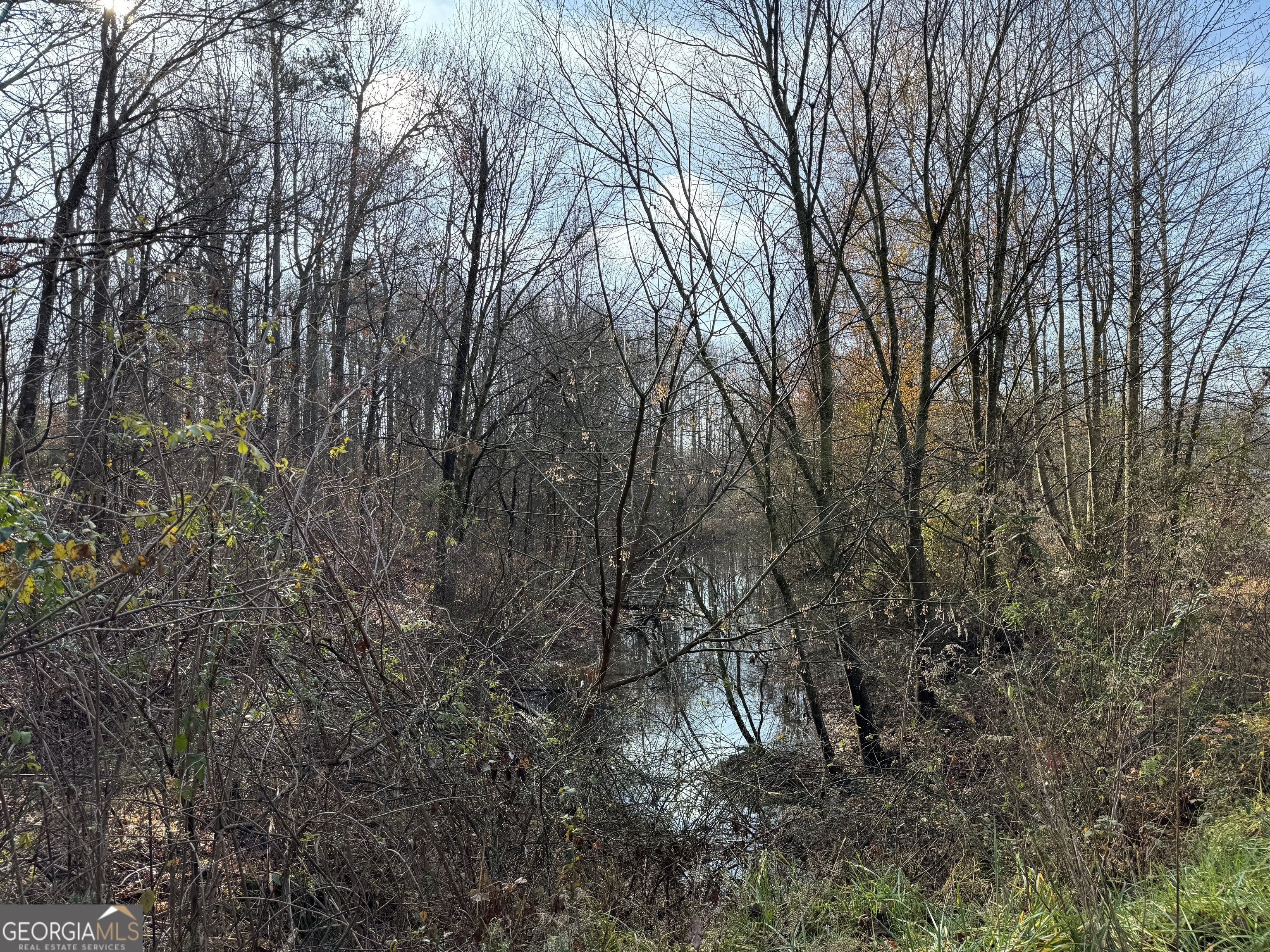 0 J J Warren Road Cornelia, GA 30531 - Photo 15 of 20 a backyard of a house with lots of green space