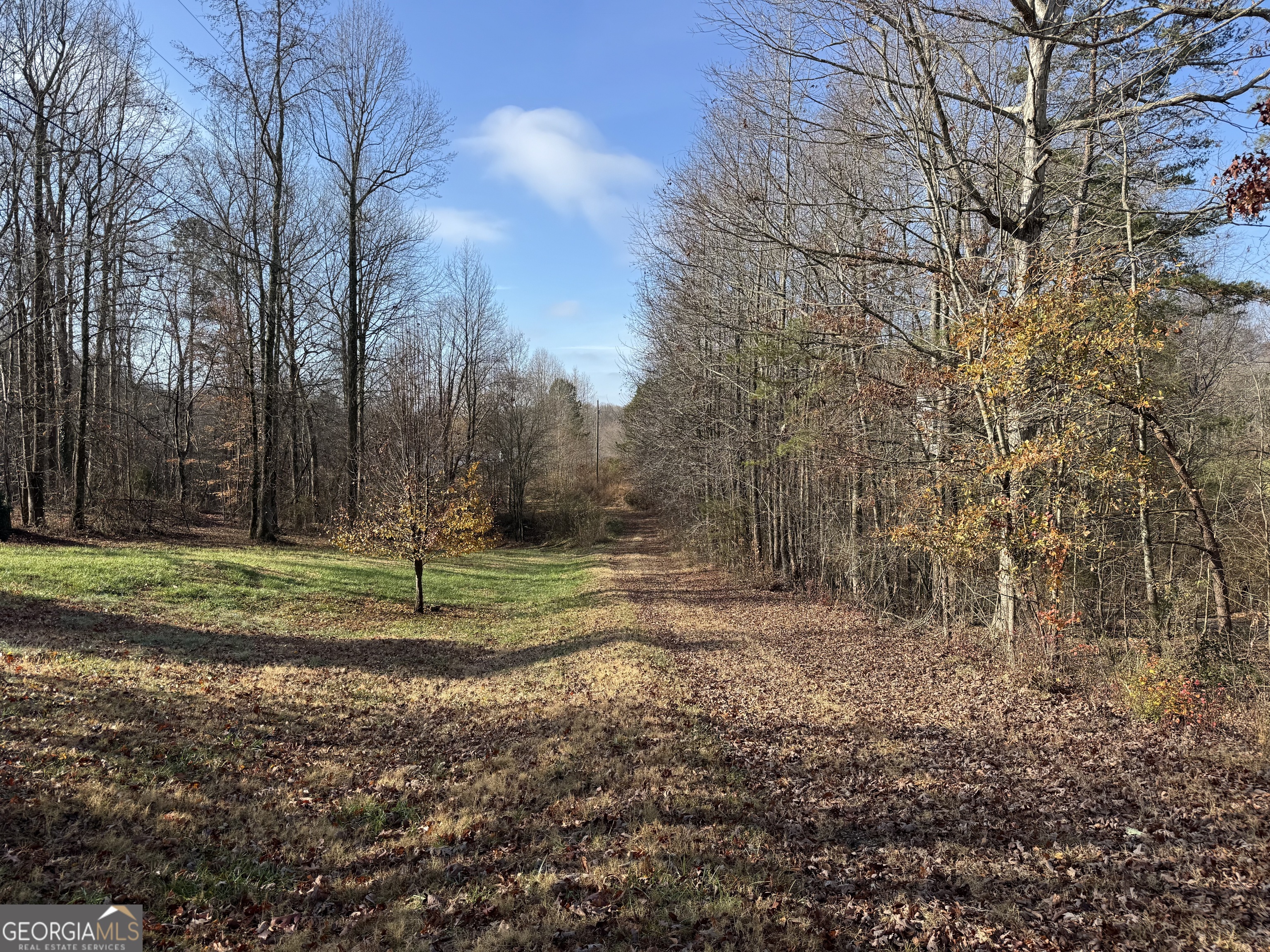 0 J J Warren Road Cornelia, GA 30531 - Photo 16 of 20 a view of a park