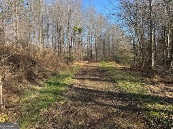 $375,000 | 0 J J Warren Road, Cornelia, GA 30531