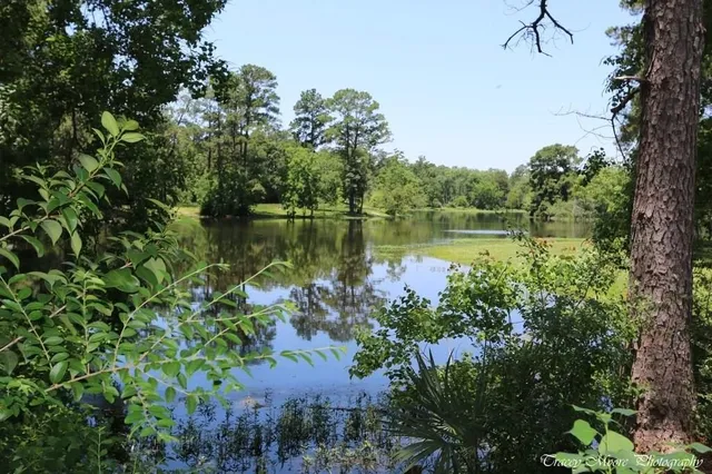 $415,000 | 27603 Molly Hills Court, Spring, TX 77386