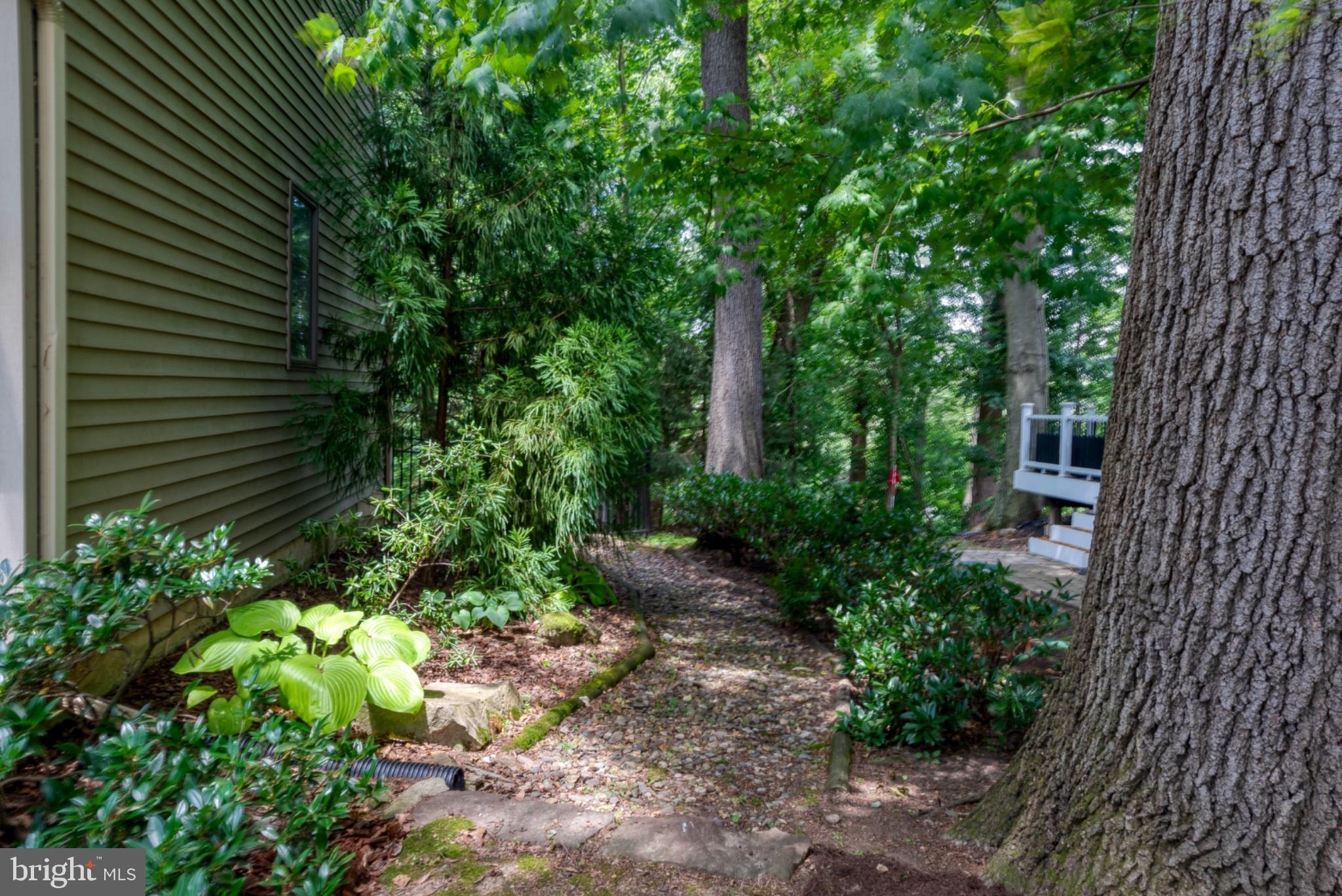 2861 Spring Valley Road Lancaster, PA 17601 - Photo 46 of 59 Lush pathway through serene greenery.
