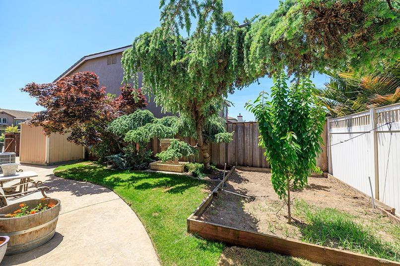 2001 Dayton Avenue Modesto, CA 95356 - Photo 73 of 94 a view of a backyard with potted plants and large trees