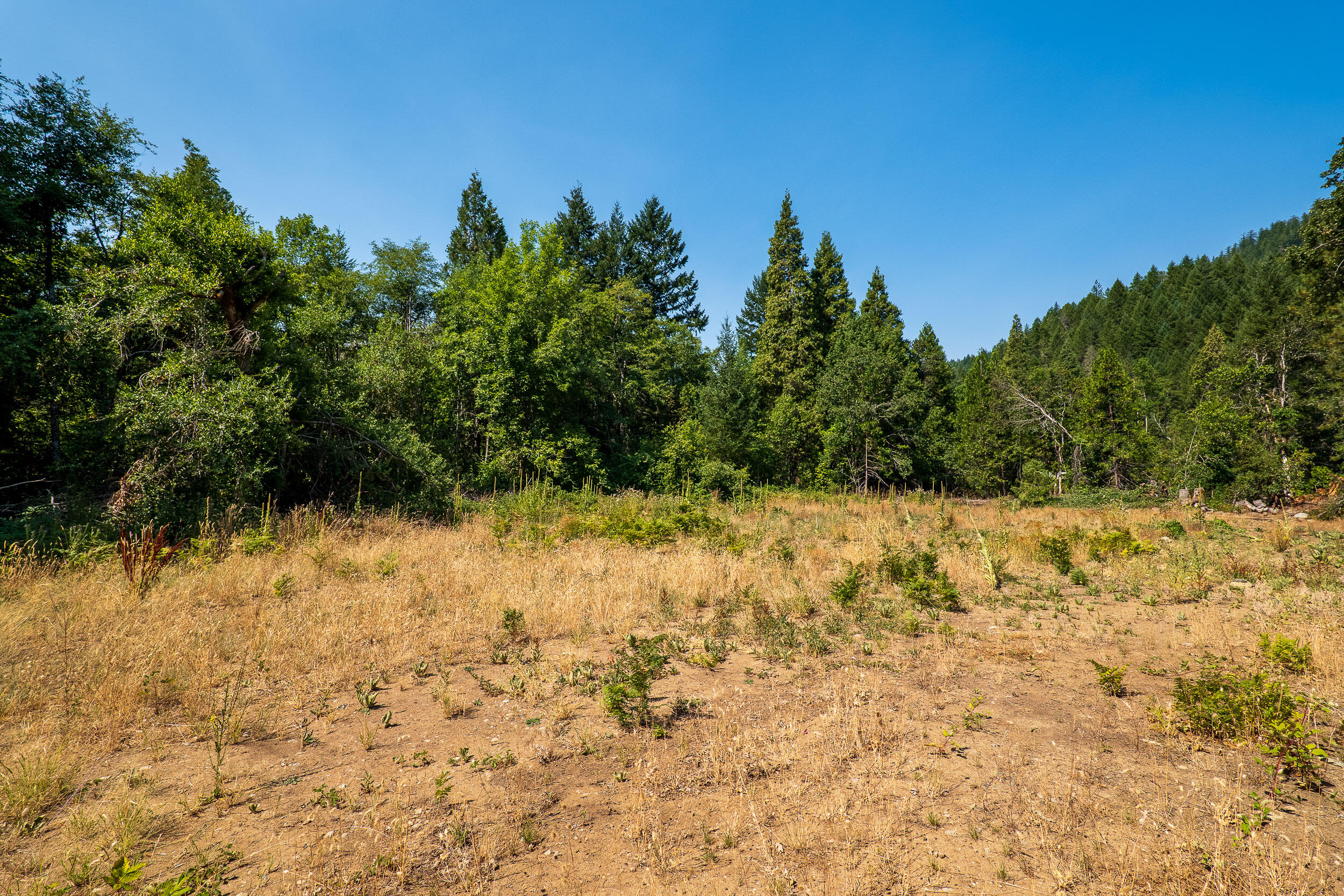 8595 Deer Creek Road Selma, OR 97538 - Photo 2 of 17 8595DeerCreekRd-007