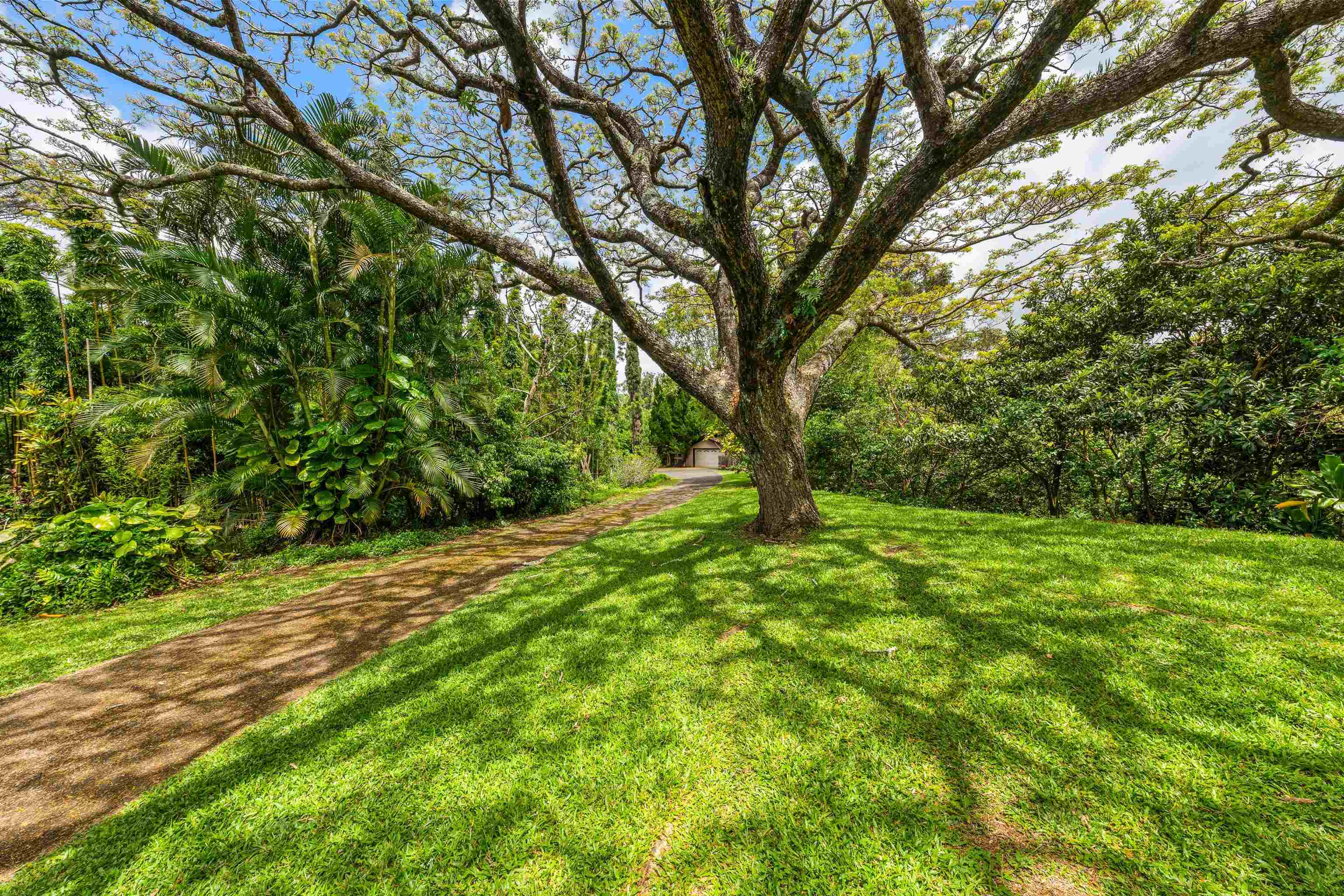 311 Awalau Road Haiku, HI 96708 - Photo 27 of 41