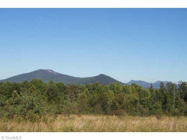 1119 East Old Phillips Road Pinnacle, NC 27043 - Photo 2 of 9 Other.