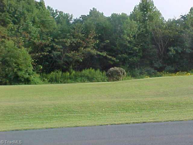 1119 East Old Phillips Road Pinnacle, NC 27043 - Photo 8 of 9 Other.