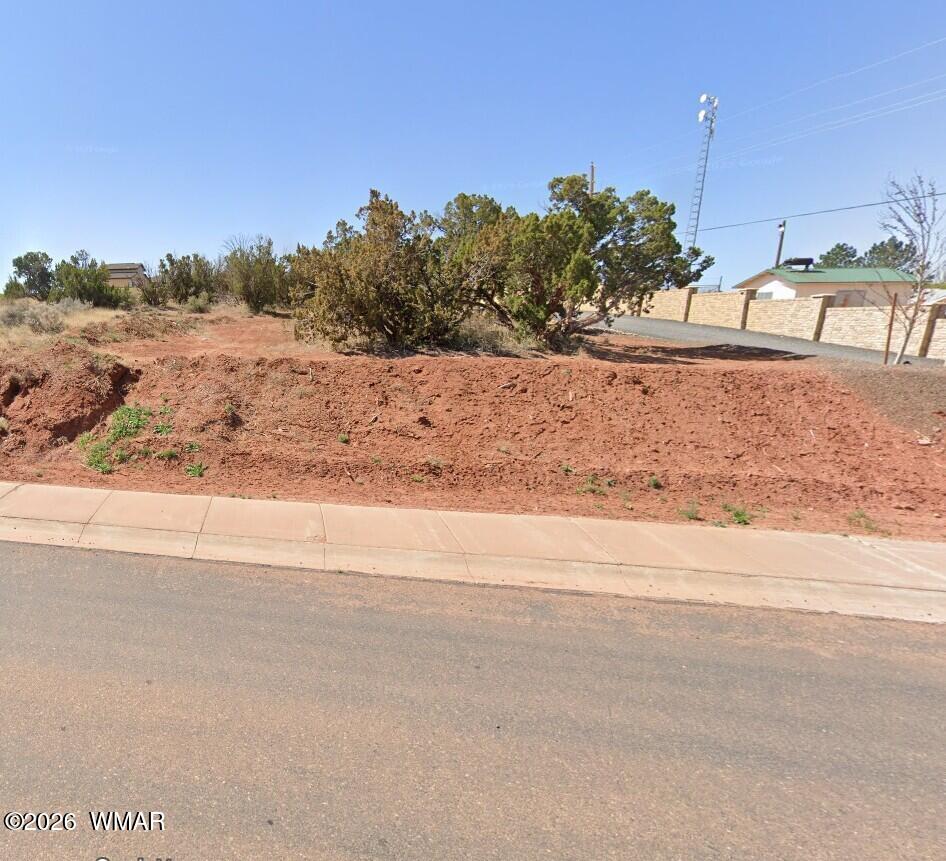1971 Sand Trap Lane Snowflake, AZ 85937 - Photo 2 of 2 a view of a yard with a road