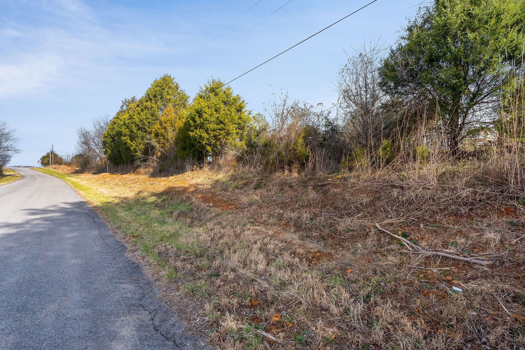 787 Pine Thickett Road Sparta, TN 38583 - Photo 14 of 18