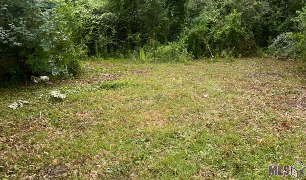 44157 Hood Road Hammond, LA 70403 - Photo 5 of 6 Gallery Image 5