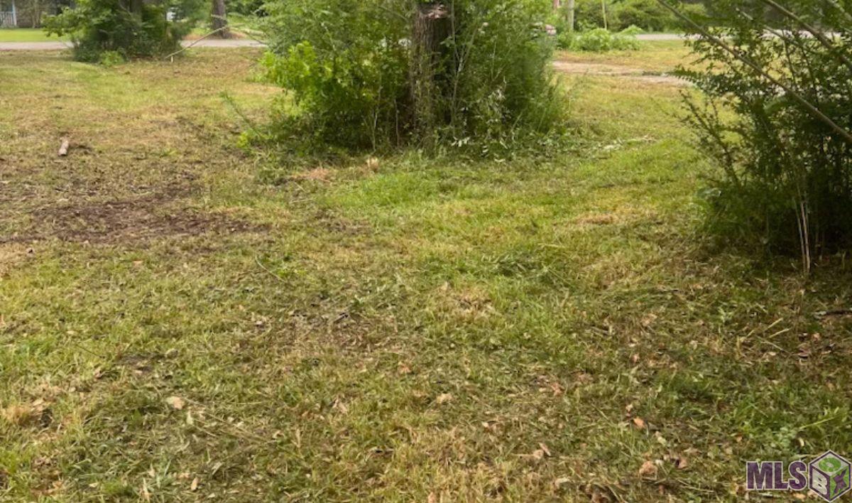 44157 Hood Road Hammond, LA 70403 - Photo 6 of 6 Gallery Image 6