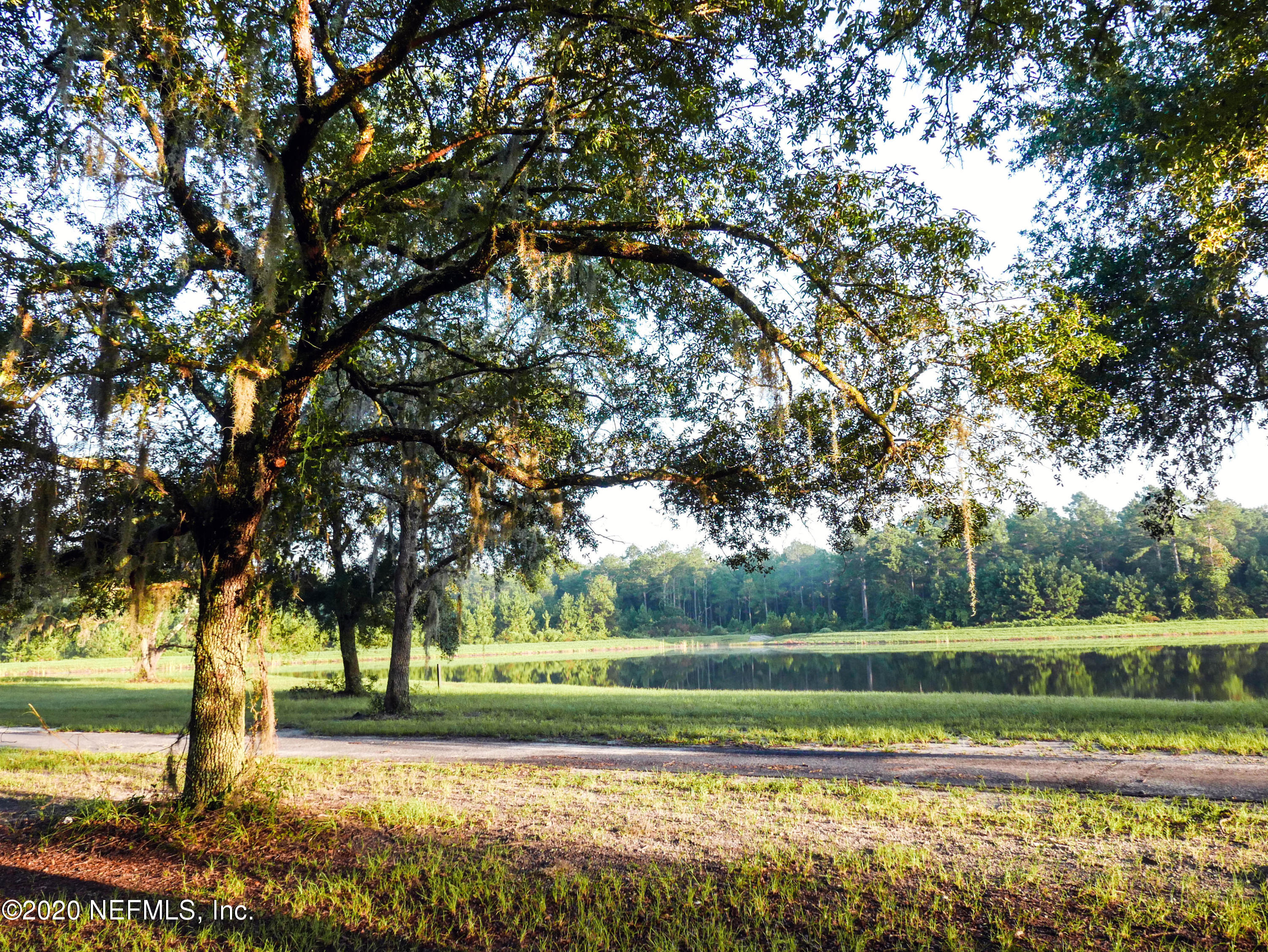 933 Rustic Mill Dr Street St. Augustine, FL 32092 - Photo 26 of 29 a view of a yard with large trees