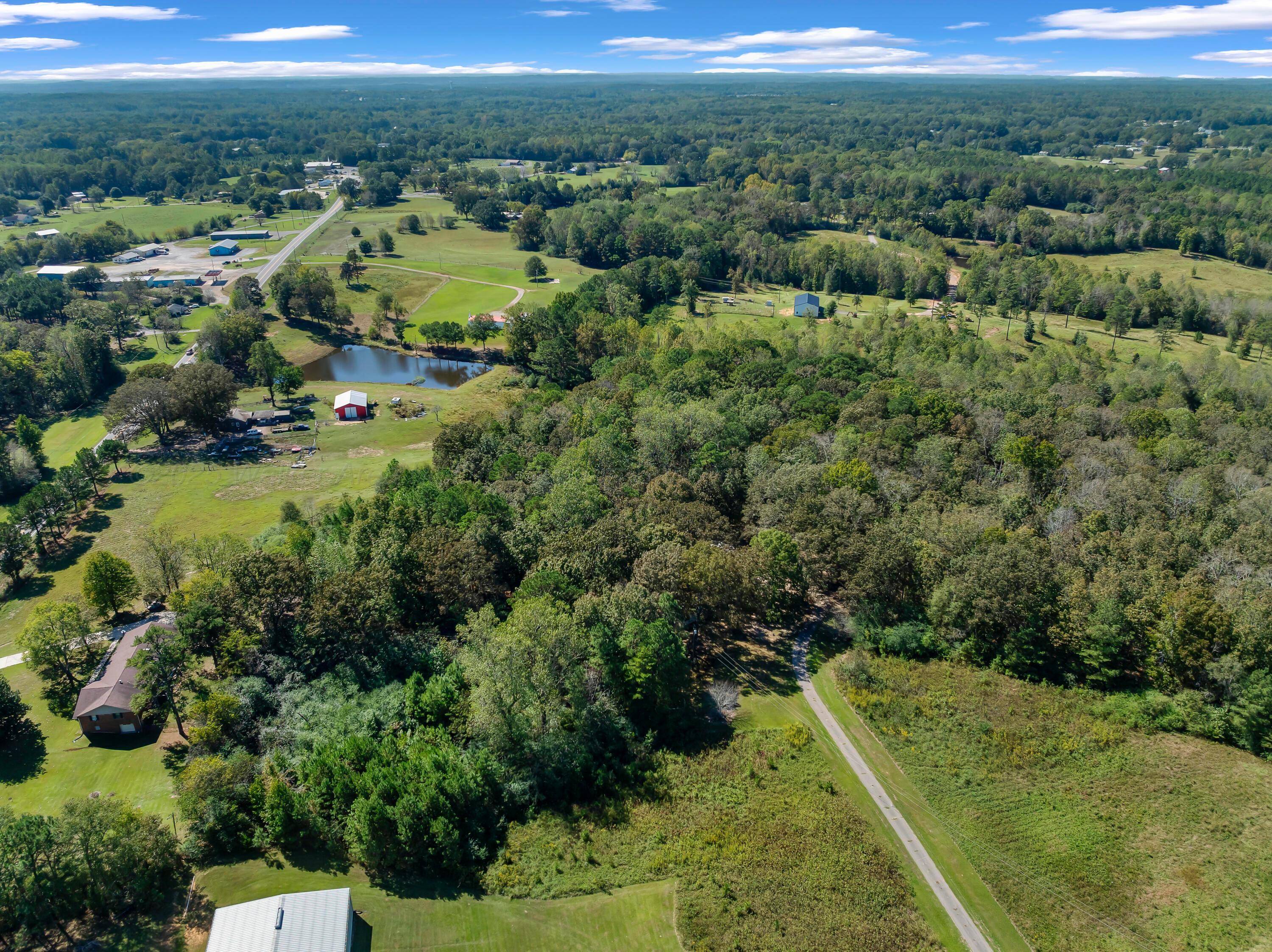 121 Mack Borden Road Jasper, AL 35504 - Photo 15 of 41 DJI_20251010120300_0252_D-Edit