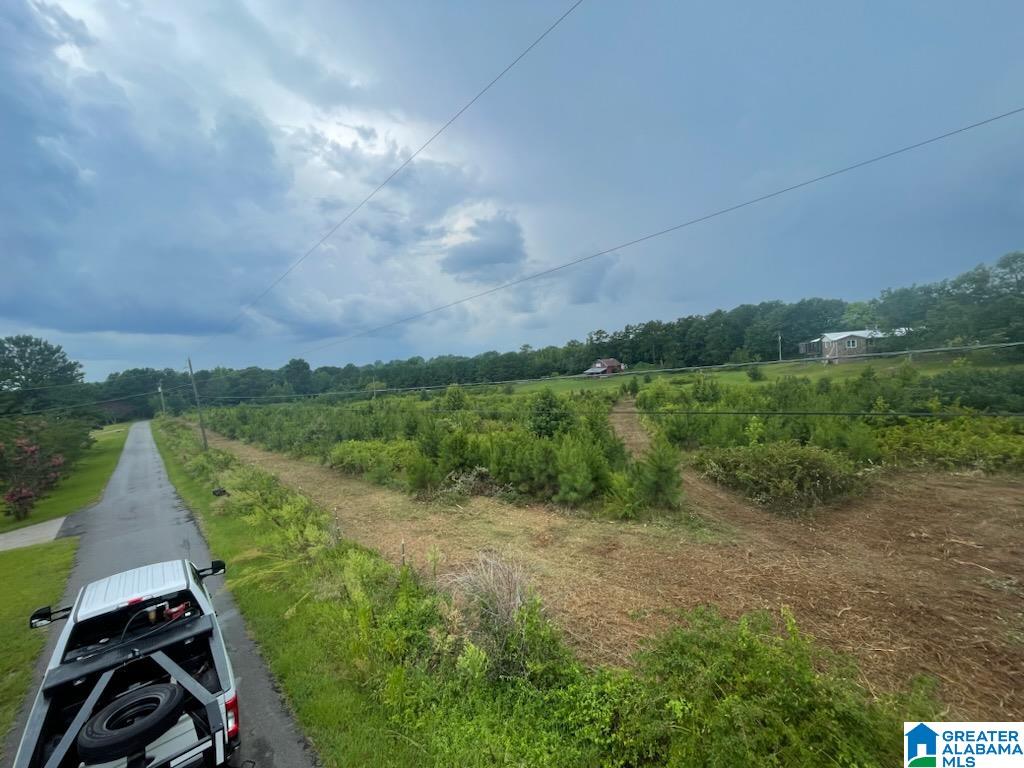 0 Landreth Road, Unit 9 5 / ACRES Oneonta, AL 35121 - Photo 3 of 6