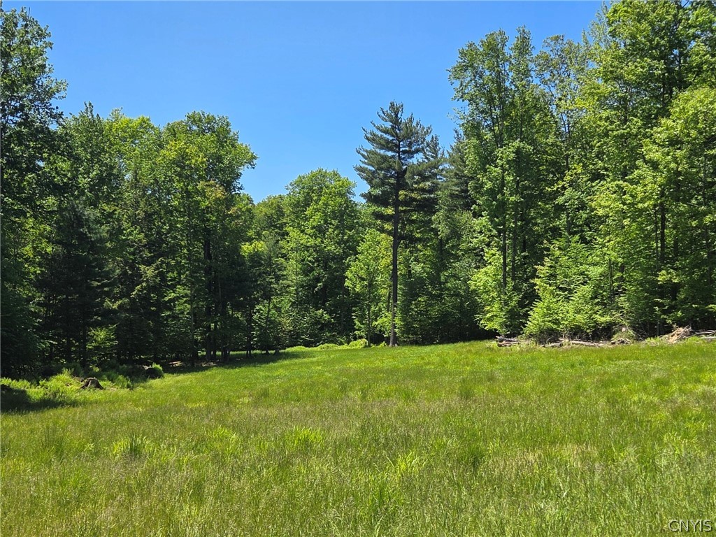 Lillibridge Road Olean, NY 14760 - Photo 19 of 48