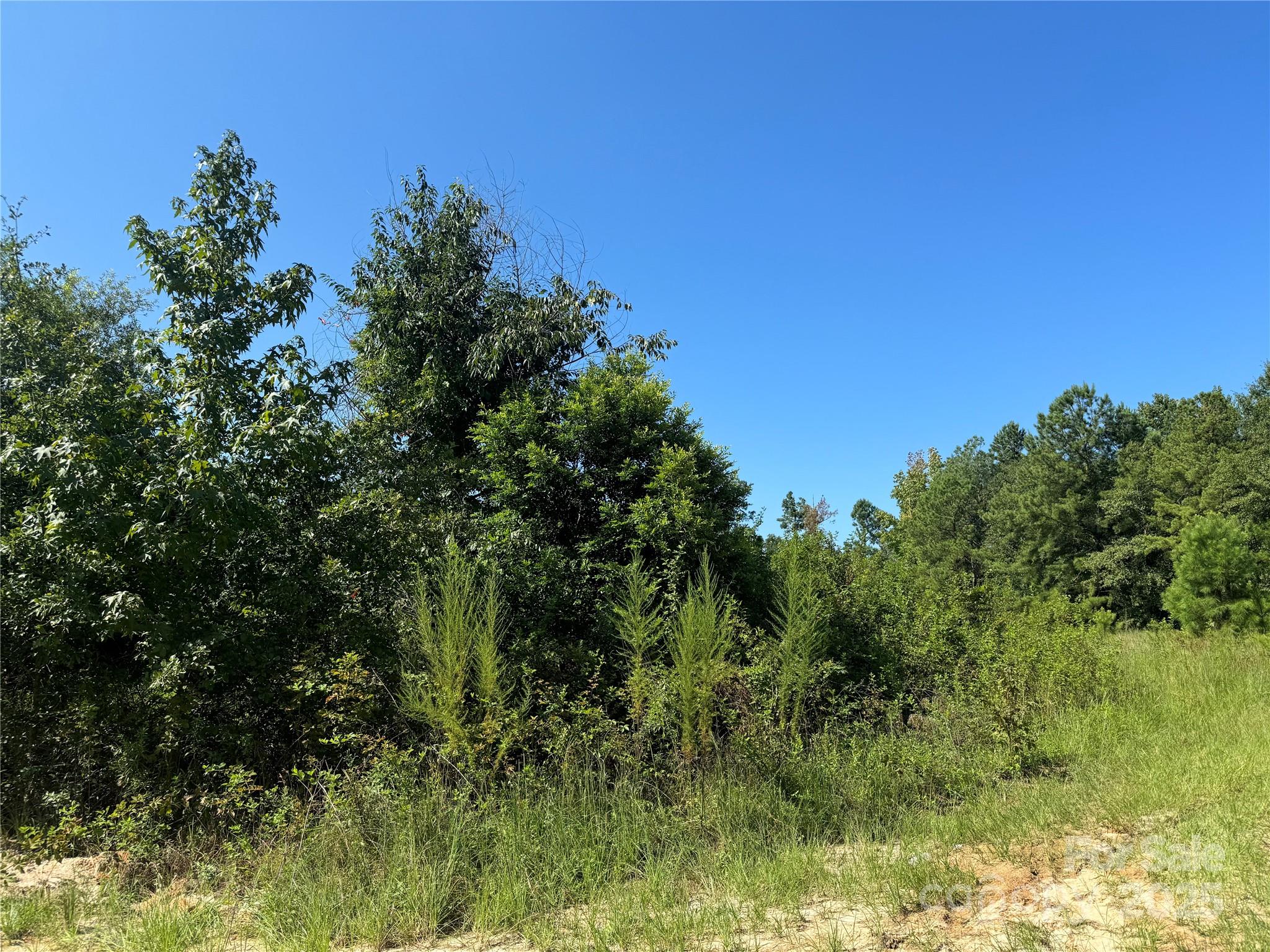 1612 Ashland Road McBee, SC 29101 - Photo 2 of 26