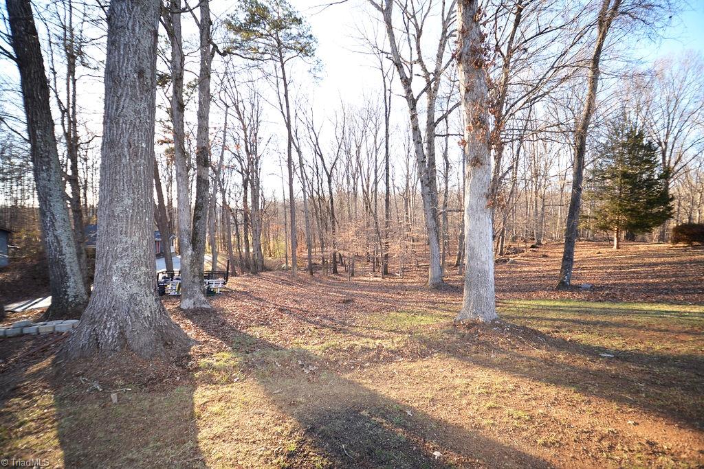 343 Johnson Ridge Road Elkin, NC 28621 - Photo 7 of 35 Lot behind house