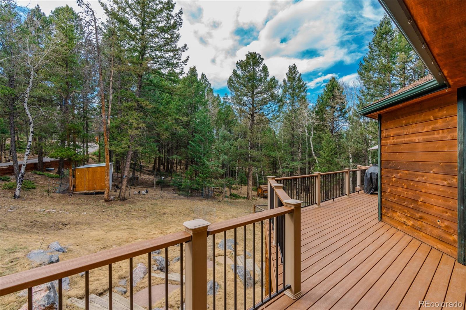 9590 South Warhawk Road Conifer, CO 80433 - Photo 34 of 43